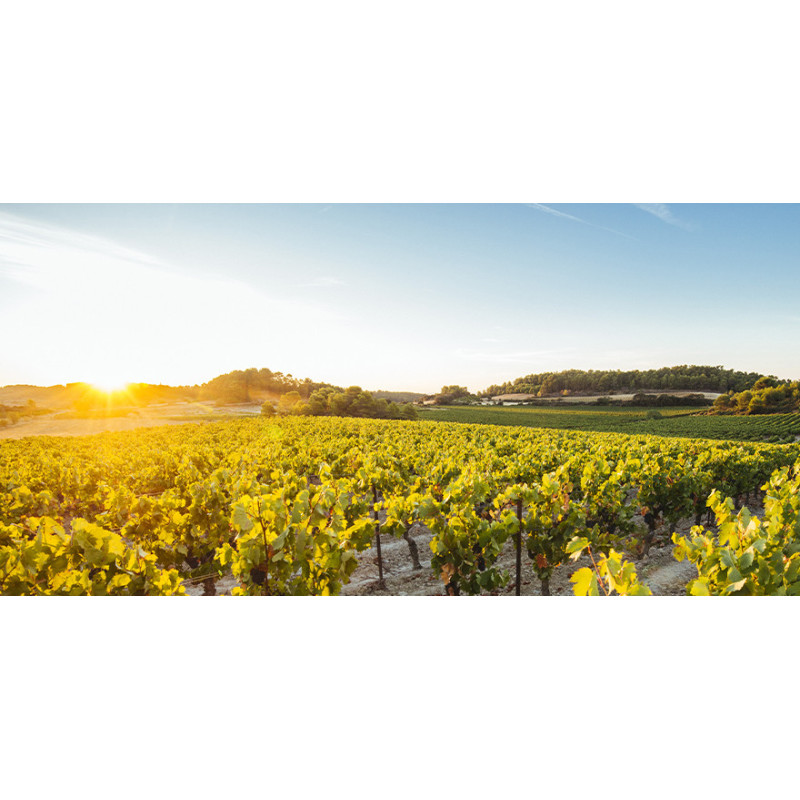 Nos Châteaux et Domaines Languedoc | Domaine de la Baume