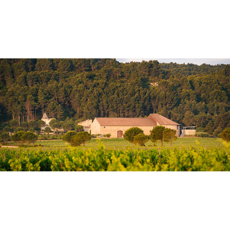 Nos Vins BIO des Corbières | Château de la Boutignane